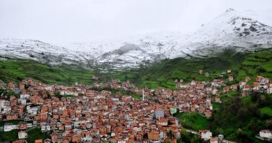 Detaje për rastin tragjik, ku djali rreth 30 vjeç privoi nga jeta nënën e tij në Restelicë