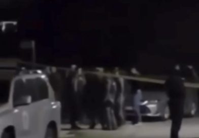 E rëndë: Miradije Gashi humb jetën në QKUK pas plagosjes në Majac të Podujevës