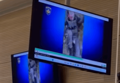 Publikohen pamjet në Gjykatë: Momenti kur terroristi serb tenton të ikë në Banjskë, kapet nga Policia e Kosovës