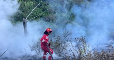 Vdes një person si pasojë e zjarrit në Skenderaj
