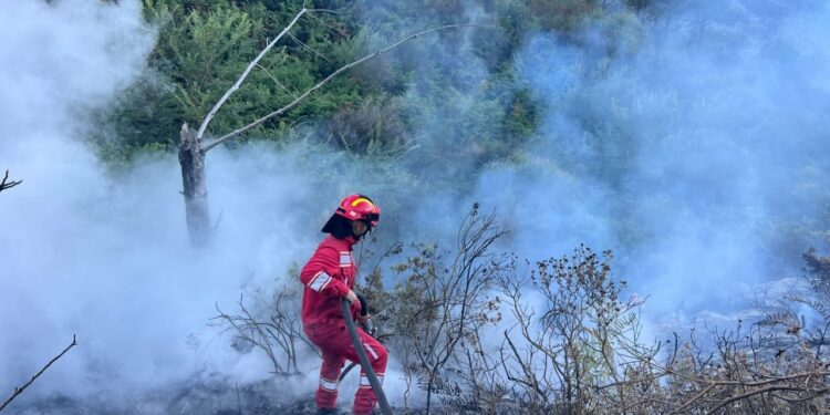 Vdes një person si pasojë e zjarrit në Skenderaj Vdes një person si pasojë e zjarrit në Skenderaj