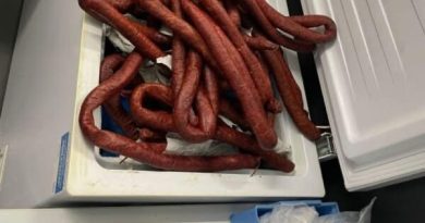 Në autobusin nga Kosova, doganierët gjermanë gjejnë 250 kilogramë suxhuk