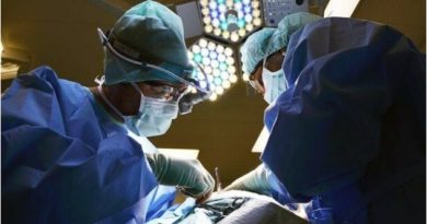 Kina realizon transplantin e parë në botë të mëlçisë dhe veshkave, nga derri te njeriu