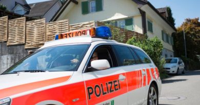 Për një pronë në Kosovë, dy familje përleshen brutalisht në Zvicër Për një pronë në Kosovë, dy familje përleshen brutalisht në Zvicër
